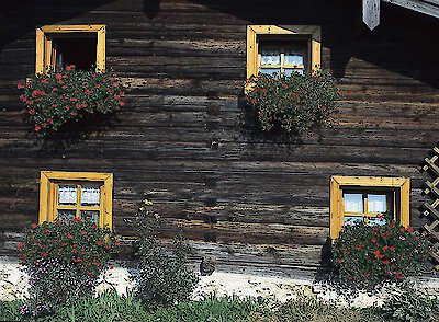 Immer mehr Chalets im Bayerischen Wald bieten exklusiven Hüttenurlaub